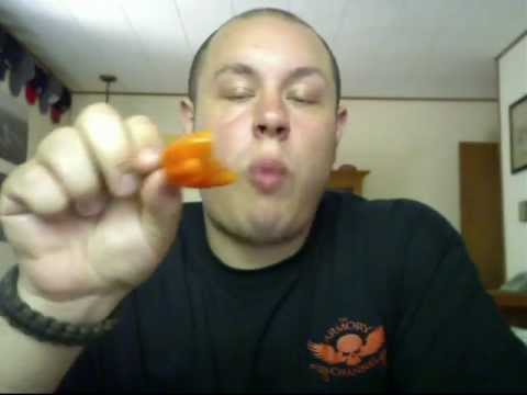 download lagu mp3 mp4 Habanero Orange, download lagu Habanero Orange gratis, unduh video klip Habanero Orange