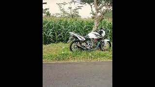 Download lagu story'wa herex Tiger seris terbaru mp3