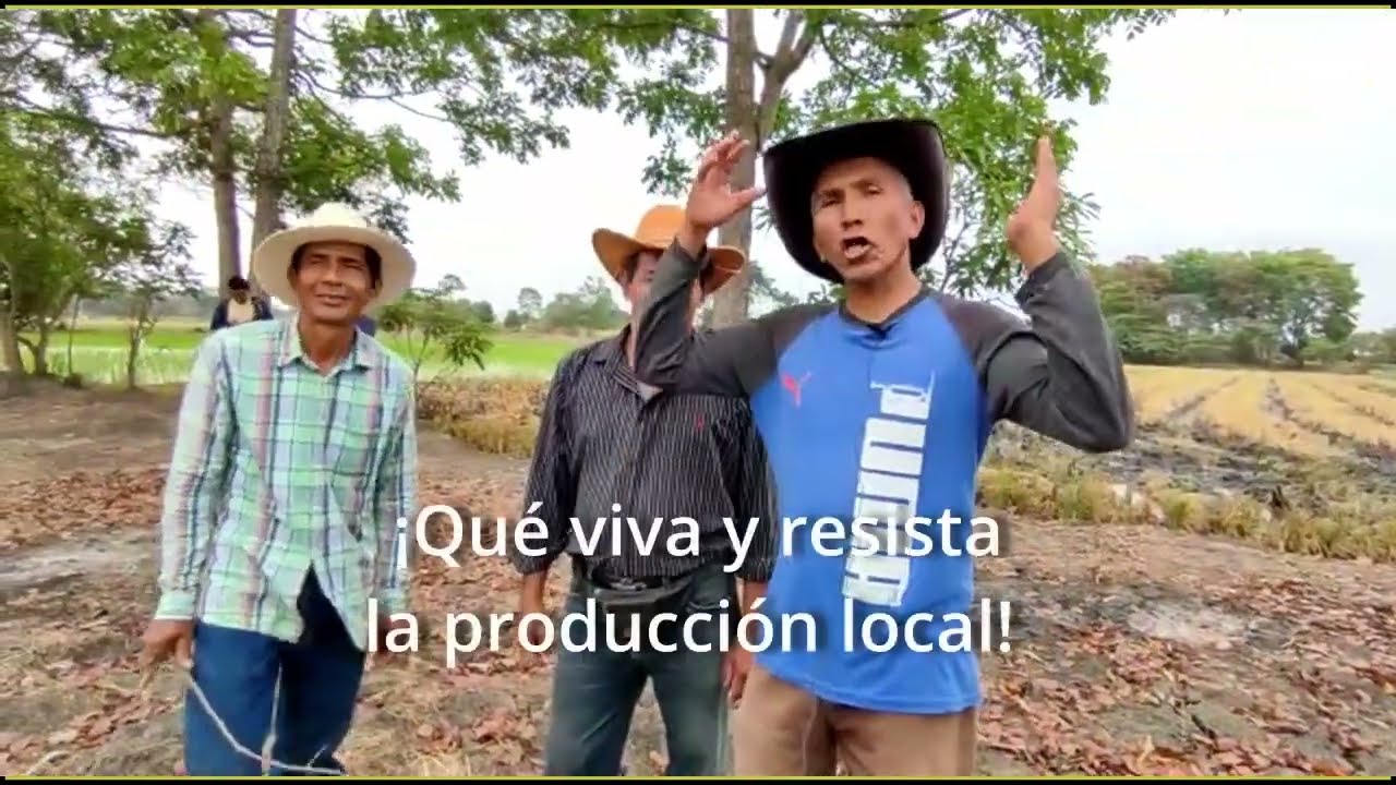 Tenencia de tierra en Ecuador: ¿agricultura para alimentación o para agronegocio? 👩🏼‍🌾🌾