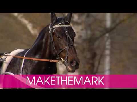 Välkommen till Elitloppet Makethemark!
