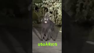 Coisas Assustadoras Encontradas em florestas Capturados por câmeras!  #shorts #short