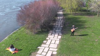 Mr. Samsa - Disgrace (Official Music Video)