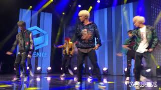 180918 LUCENTE - FALLING PETALS