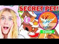 NEW SECRET HIDDEN PET In Adopt Me Christmas Update