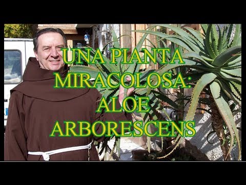 Affronti pacchi su vitamina E da rughe Farina di lino di un pacco di faccia