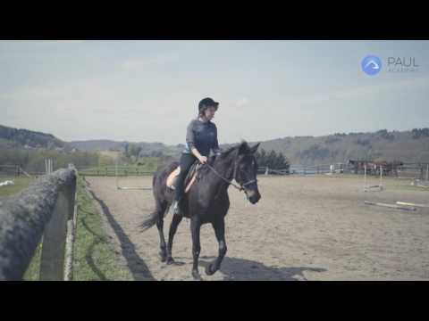 Gospodarstwo agroturystyczne Kolano - o ośrodku