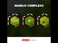 alt: Miniatura imagem do produto Talisman 200EC - Acaricida e Inseticida - 4 x 5 L (20 L) - FMC - 200059 - Unitário