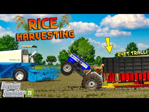 Swaraj 744🚜 vs 24ft Tralli 😨| Rice Harvesting | FS25 | Spanker Farming
