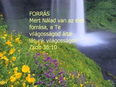 ITT VAGYOK MOST JÓ URAM.wmv