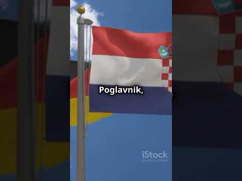 Ante Pavelic: Croatian WW2 Dictator #ww1 #ww2 #coldwar #ai #facts #history #nazis #wars #army #axis