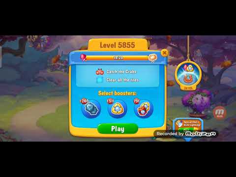 Set of fire crackers -5855