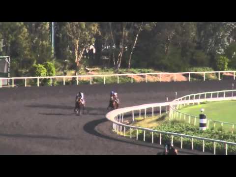 Turbulent Descent 5-12-11