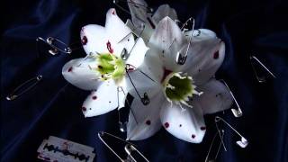 blutengel silent death