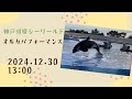 神戸須磨シーワールド　オルカパフォーマンス　2024.12.30 13 00