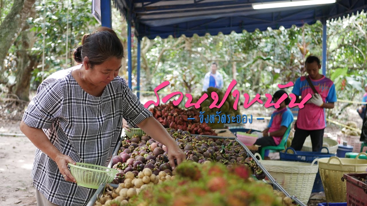 Phanan Orchard
