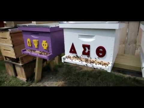 Honeybee Tour at Detroit Hives