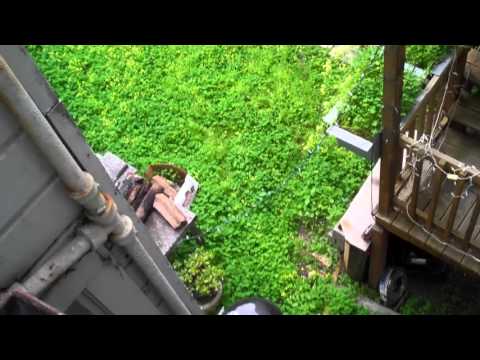 021716 DEM Sheriff DPH SFPD Policy that DENIED SFPD CIVIL STANDBY or another LIE and FU*K JOB