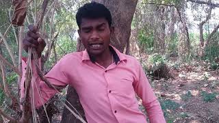 DIL KA ALAM MAIN  _ NEW HD VIDEO SONG _" BHUSHAN KUMAR"" ( SECRET MUSIC WORLD) BY ROHIT RAZZ