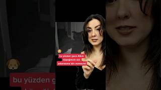 Download lagu Asla gece köpeğinizin sizi yalamasına izin vermeyin! #shorts Kısa korku hikayeleri #şehirefsaneleri mp3