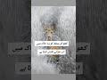 Poetry Best Lines Urdu Status