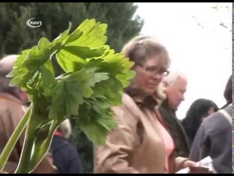 Pflanzentauschbörse Mildensee - RAN1