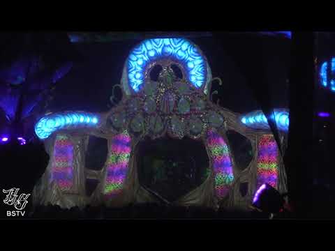 Guiners @ ReveillOz 2018/2019 - like BSTV