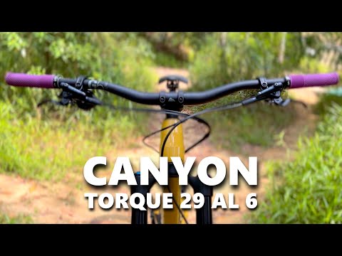 2022 Canyon Torque 29 AL 6 | Bike Check