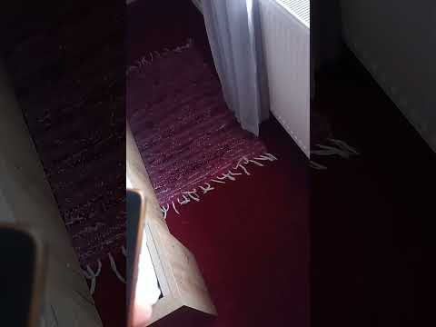 Romania furata sau cum presa manipulează opinia publica