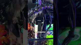 Video thumbnail image