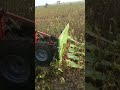 Sesame Harvester Harvest Harvester Harvester Harvesting Combineharvester Sesameharvester