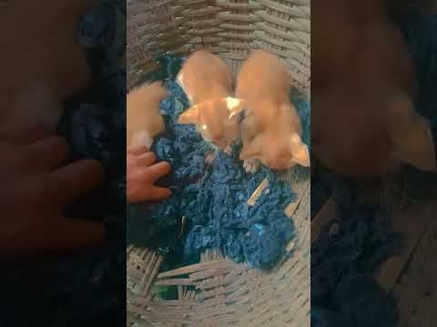 😼😃😂😂🤣👍🌹😼