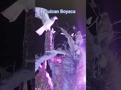 parque nacional de guican Boyaca #villadeleiva #turismo #todos #speedsong