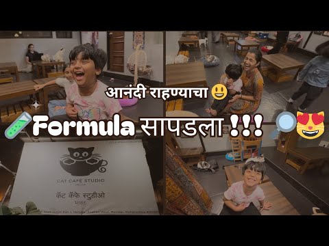 हसा आणि हसवा 😄 | India's First Cat Cafe Studio 🐱❤️ | Paradise for Cat Lovers 😻