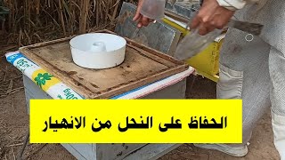الحفاظ على النحل من الانهيار في الخريف مباشر مع مغيد 2025/10/13