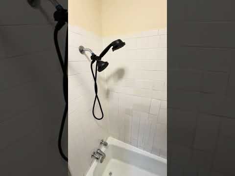 3352 3354 S. Lituanica - Video 2 of 2