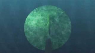 Bill Nelson - The Ritual Echo