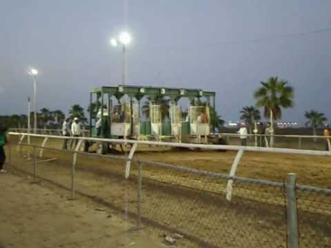 EL BISIESTO & EL MEXICANO