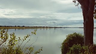 SUNNYSIDE -  Space Intro - Time Feel - Field Music