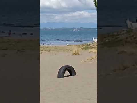 Llanquihue,Región de los Lagos #llanquihue #chile ##shorts #short #subscribe #nature #travel #parati