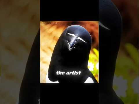 THE ART 💀                                         #car #caredit #edit #shorts