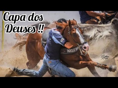 Vaqueiros famosos no estilo capa loka | Celso Vitorio, Jr Latercio, Celso Jr & Nathan Queiroz