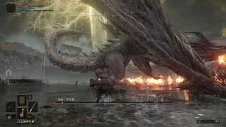 ELDEN RING_Dragon