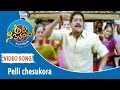 Pelli Chesukora Video Song Aha Na Pellanta Movie Songs Allari Naresh Ritu Barmecha