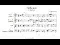 Kantata Cicha noc - 1. Sinfonia - nuty i tekst pdf ...