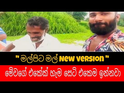 Malpita mal | මල්පිට මල් | New version | Sri lanka | Amal perera song