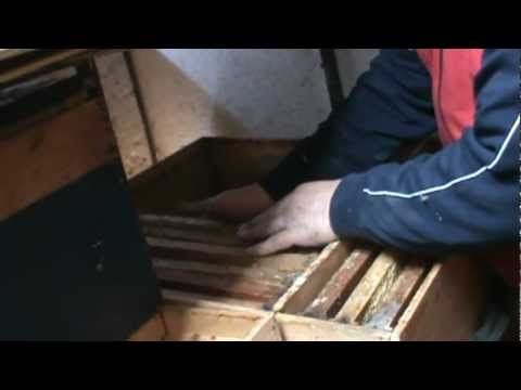 1. Selectia ramelor stocate in pavilion - apicultura practica pentru incepatori 1/2