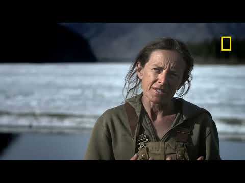 Exclusive Clip from Life Below Zero Season 22 - Destroyer of Worlds