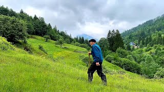 Download lagu Desa Artvin di Turki : Seperti Hidup di Masa Lalu, Tenang dan Alami mp3 Download lagu Desa Artvin di Turki : Seperti Hidup di Masa Lalu, Tenang dan Alami mp3