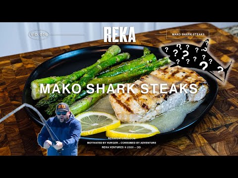 You'll NEVER Guess Where We Caught This Mako Shark!! | Catch & Cook | EP 036