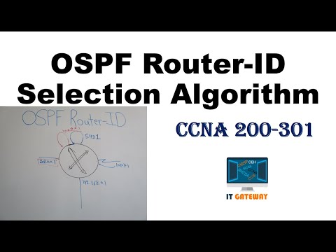 Lesson 76 - OSPF Router-ID